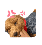 長江家の愛犬たち（個別スタンプ：8）