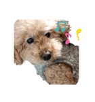 長江家の愛犬たち（個別スタンプ：10）