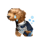 長江家の愛犬たち（個別スタンプ：12）