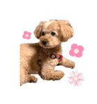 長江家の愛犬たち（個別スタンプ：13）