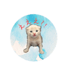 こねこの金太郎（個別スタンプ：3）