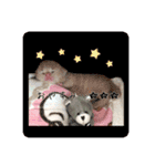 こねこの金太郎（個別スタンプ：7）