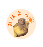 こねこの金太郎（個別スタンプ：14）