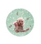 こねこの金太郎（個別スタンプ：15）