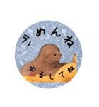 こねこの金太郎（個別スタンプ：16）