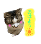 こっちゃんず2（個別スタンプ：11）