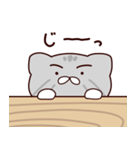 ふっくらマヌルネコ まるみちゃん（個別スタンプ：1）