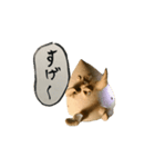 ぼっさんだらけ（個別スタンプ：20）