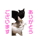 mm_20200518212346（個別スタンプ：1）