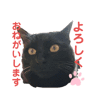 mm_20200518212346（個別スタンプ：2）