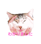 mm_20200518212346（個別スタンプ：5）