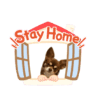 チョコたんRAON Ⅱ（個別スタンプ：27）