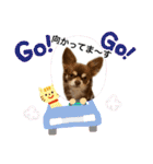 チョコたんRAON Ⅱ（個別スタンプ：33）