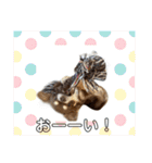 チョコたんRAON Ⅱ（個別スタンプ：35）