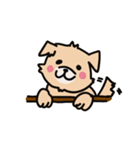 わんことごしゅじん（個別スタンプ：1）