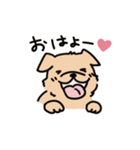 わんことごしゅじん（個別スタンプ：3）