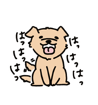 わんことごしゅじん（個別スタンプ：11）