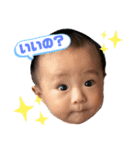 日常こあ（個別スタンプ：10）