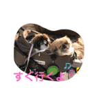モカタラ家よく使うあいさつ編p（個別スタンプ：4）