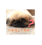 モカタラ家よく使うあいさつ編p（個別スタンプ：6）