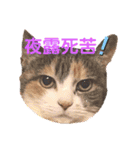 モカタラ家よく使うあいさつ編p（個別スタンプ：8）