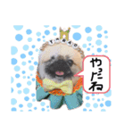 モカタラ家よく使うあいさつ編p（個別スタンプ：10）