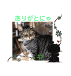 モカタラ家よく使うあいさつ編p（個別スタンプ：12）