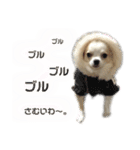 だるちゃん日和（個別スタンプ：5）