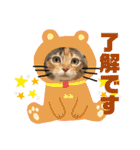 はちわれ銀次とみみちゃん（個別スタンプ：3）
