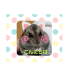 ハムスター小梅ちゃんの癒し可愛いスタンプ（個別スタンプ：4）