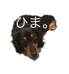 会話でのスタンプ（個別スタンプ：1）