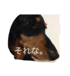 会話でのスタンプ（個別スタンプ：4）