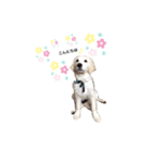 UKUちゃん（個別スタンプ：3）