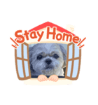 ちずたる。（個別スタンプ：3）