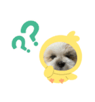 ちずたる。（個別スタンプ：5）