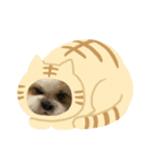 ちずたる。（個別スタンプ：6）