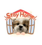 ちずたる。（個別スタンプ：7）