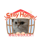 わんこず＆にゃん 2（個別スタンプ：8）