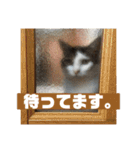 こまです2（個別スタンプ：8）