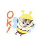 ノラっ子（個別スタンプ：23）
