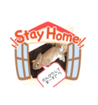 岸本さん家のちっぷさん♪（個別スタンプ：1）