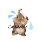 岸本さん家のちっぷさん♪（個別スタンプ：8）