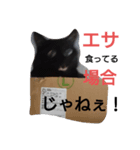 おむとおびぃ（個別スタンプ：3）