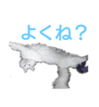おむとおびぃ（個別スタンプ：4）