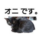 おむとおびぃ（個別スタンプ：5）