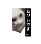 おむとおびぃ（個別スタンプ：6）