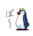 ペンギンのロイペンくんの日常生活（個別スタンプ：1）