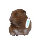 はむはむらんど4（個別スタンプ：2）