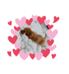 loussier♡♡♡♡（個別スタンプ：2）