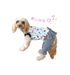 loussier♡♡♡♡（個別スタンプ：3）